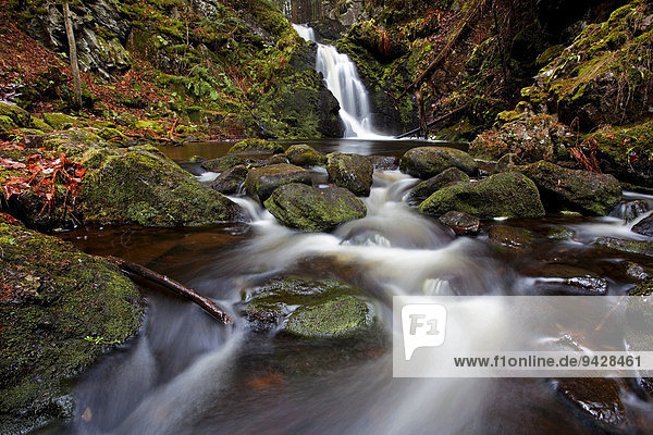 Falkenauer waterfall in November in the Black Forest  Baden-Wuerttemberg  Germany  Europe