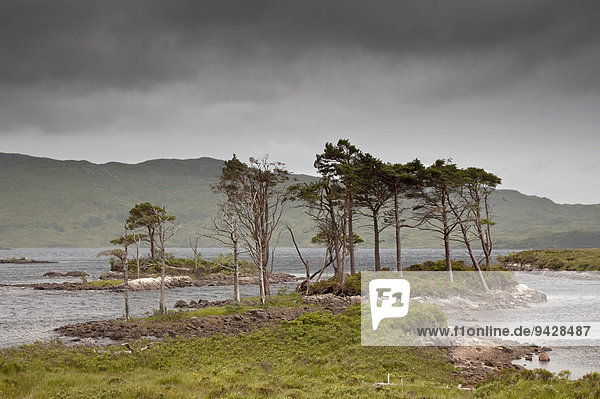 Little Assynt Estate in der Nähe von Loch Assynt Schottland Großbritannien Europa
