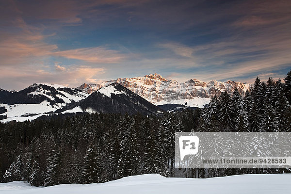 Abendstimmung auf der Hochalp mit Blick zum Alpstein  Schweiz  Europa