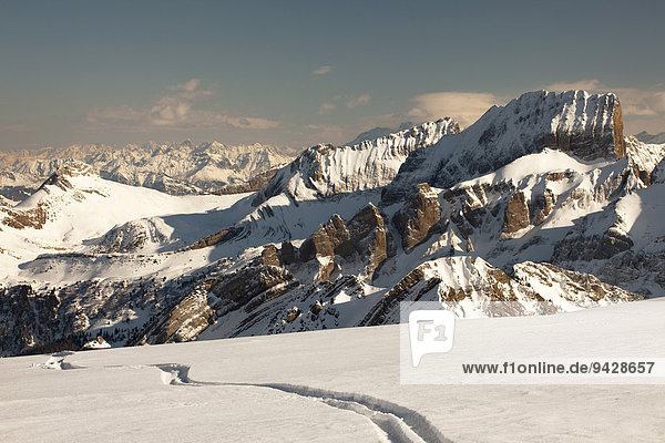 Blick zum Sichelkamm mit Gamsberg in der Ostschweiz  Schweiz vom Chäserrugg im Toggenburg im Winter  Skispur im Schnee  Schweiz  Europa