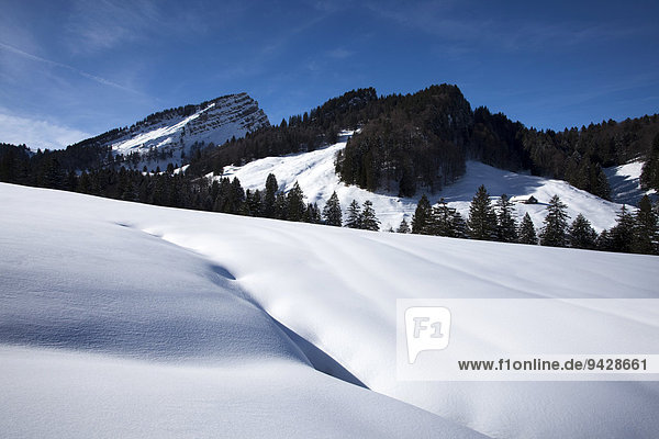 Blick zum Stockberg im verschneiten Alpstein im Appenzell  Ostschweiz  Schweiz  Europa