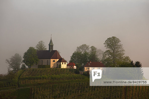 Jakobuskapelle im Morgenlicht und Frühnebel bei Gengenbach auf dem Bergle Kinzigtal Schwarzwald Baden-Württemberg Deutschland Europa