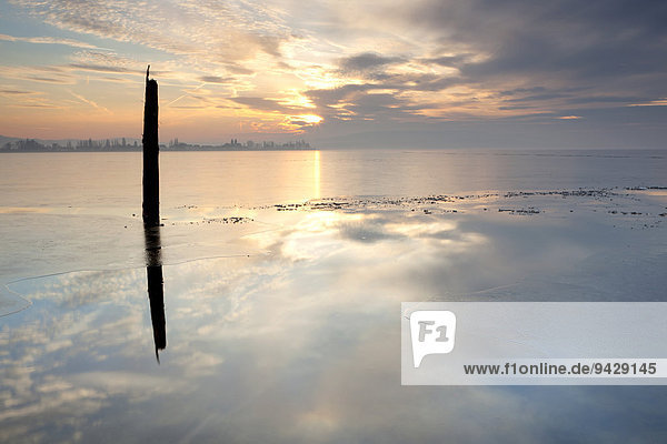 Blick am Abend auf die Insel Reichenau über einen zugefroren Bodensee Baden-Württemberg Deutschland Europa