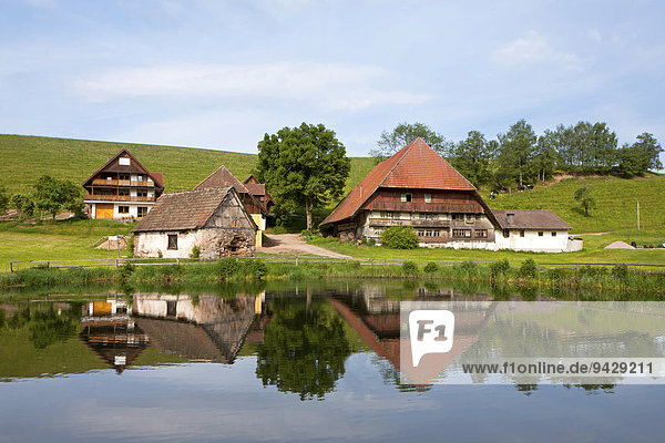 Bauernhof bei Hornberg im Schwarzwald,  Baden-Württemberg,  Deutschland,  Europa,  ÖffentlicherGrund