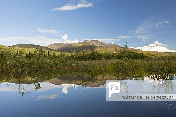 Blick von einem stillen See auf den Mount Fairplay in Alaska  USA  Nordamerika
