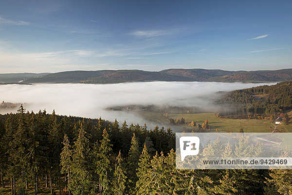 Morgenstimmung im Herbstdunst beim Schluchsee vom Aussichtsturm Riesenbühl im Schwarzwald  Baden-Württemberg  Deutschland  Europa  ÖffentlicherGrund