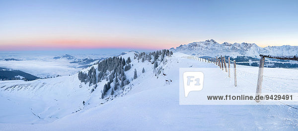 Panoramablick auf den Alpstein und das winterliche Appenzellerland kurz nach Sonnenuntergang  Schweizer Alpen  Schweiz  Europa  ÖffentlicherGrund