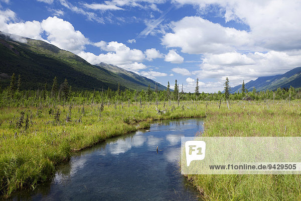 Ein kleiner Fluss beim Eagle River im Chugach State Park in Alaska  USA
