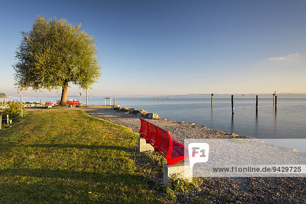 Morgenstimmung im Hafen von Güttingen am Schweizer Bodenseeufer Schweiz Europa ÖffentlicherGrund