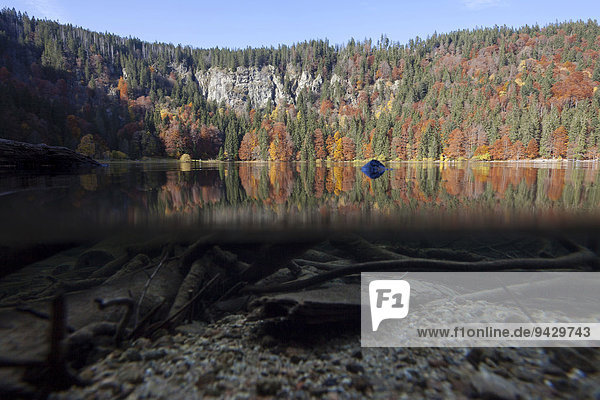 Halb-und-halb-Aufnahme vom Feldsee im Schwarzwald Baden-Württemberg Deutschland Europa