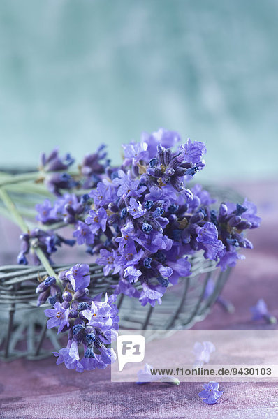 Lavendelblüten in einem Drahtkorb