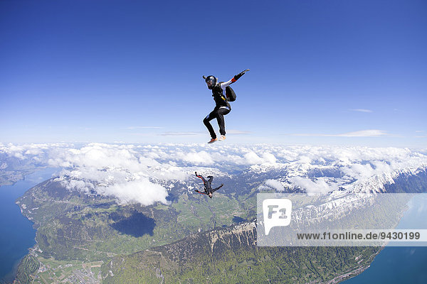 Fallschirmspringer in Freifall  Interlaken  Kanton Bern  Schweiz  Europa