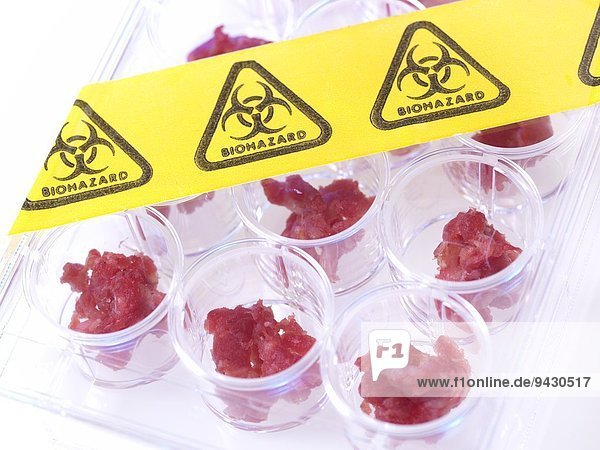 Fleischproben  die im Labor für Lebensmittelstandards geprüft werden