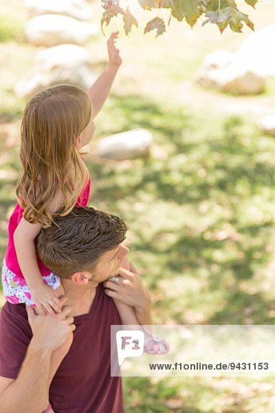 Junges Mädchen greift nach dem Baumblatt von den Schultern des Vaters im Park.