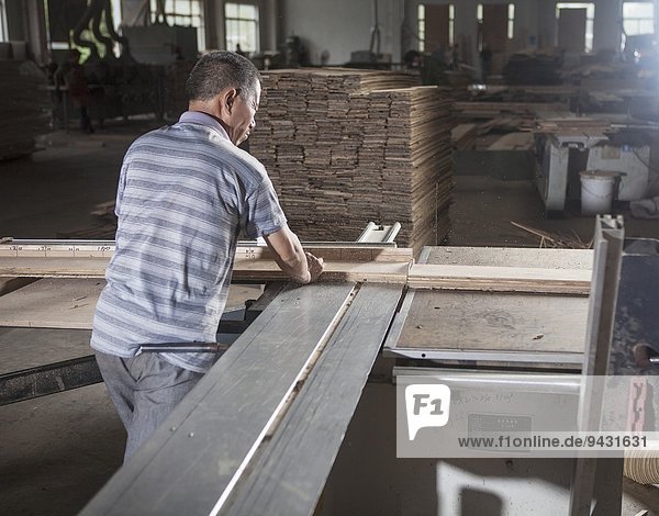 Carpenter working on wood plank in factory  Jiangsu  China