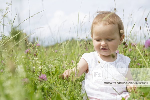 Kleines Mädchen im Feld sitzend mit Wildblumen