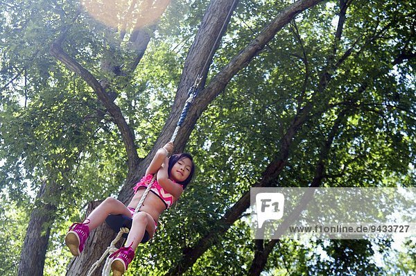 Young girl sitting on rope tree swing