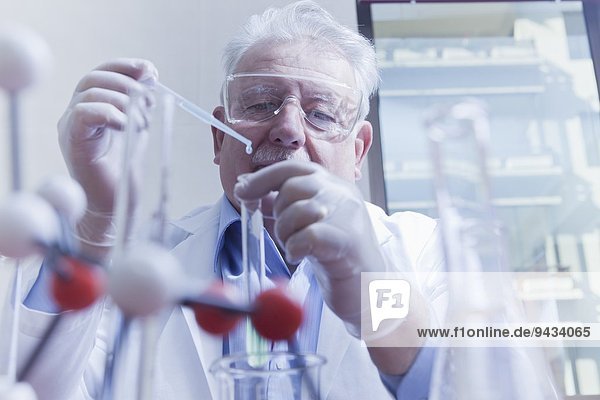 Wissenschaftliche Mitarbeiterin im Labor
