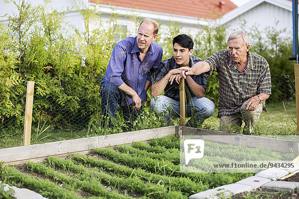 Älterer Mann zeigt der Familie die Pflanzen im Hof.