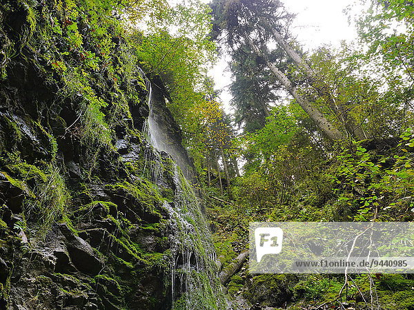 Wasserfall in der Lotenbachklamm im Schwarzwald  Baden-Württemberg  Deutschland