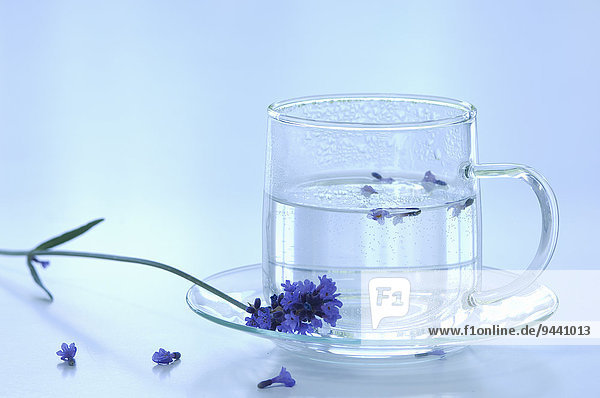 Lavender blossoms and lavender water in a cup
