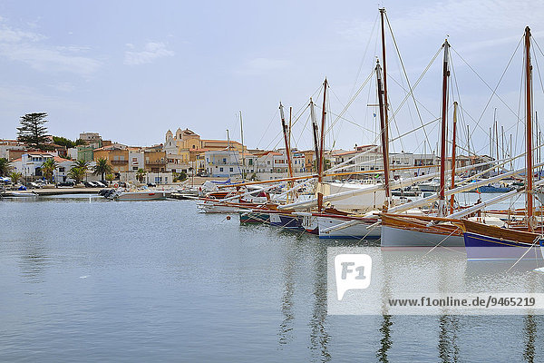 Traditionelle Segelboote mit Lateinersegel  Vela Latina  im Hafen von Calasetta  Isola di Sant'Antioco  Provinz Carbonia-Iglesias  Sardinien  Italien  Europa