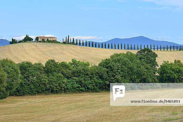 Gutshof mit Zypressenallee im Orciatal oder Val d'Orcia  Provinz Siena  Toskana  Italien  Europa