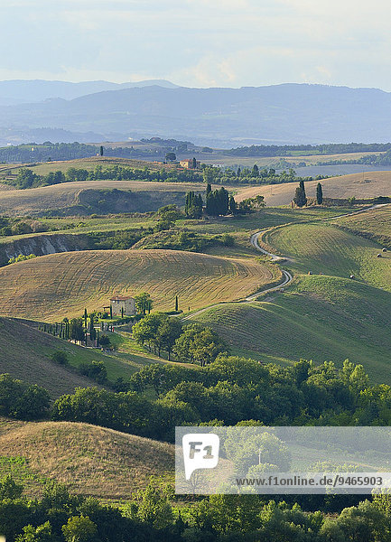Hügelige Landschaft in den Crete Senesi  Provinz Siena  Toskana  Italien  Europa