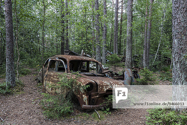 Autofriedhof im Wald  Schrottauto  40er Jahre  bei Ryd  Smaland  Schweden  Europa