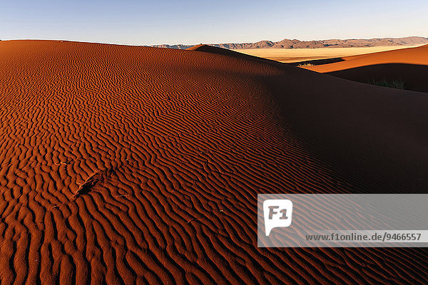 Sanddünen  Abendlicht  hinten Tiras-Berge  Namib  Namibwüste  Namibia  Afrika