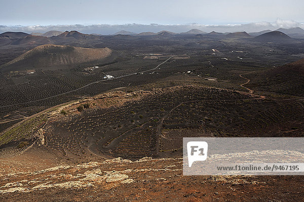 Ausblick von der Kette Montaña de Guardilama nach Norden auf das Weinanbaugebiet La Geria und die Vulkanlandschaft mit den Vulkanbergen  Lanzarote  Kanarische Inseln  Spanien  Europa