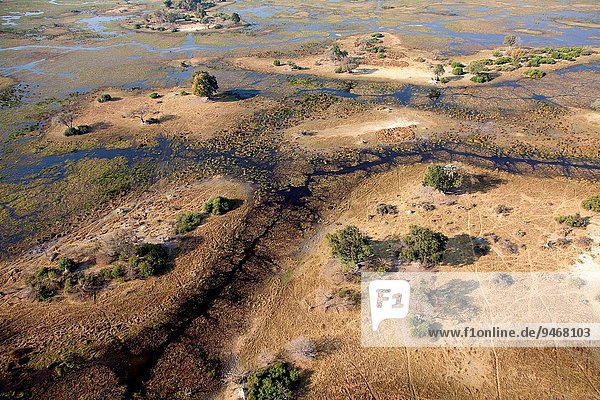 leer verbrennen Wasser Schönheit geben Meer fließen Fluss Sand Produktion Norden Form Formen Ansicht Wiese Kanal ausleeren Flussdelta Delta Kalahari Luftbild Fernsehantenne Botswana Mosaik
