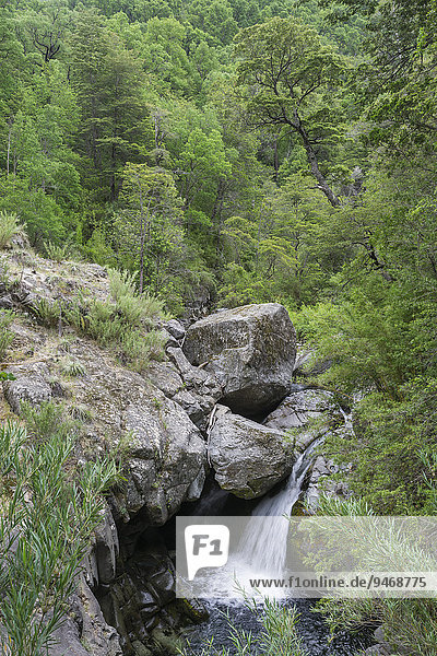 Wasserfall am Bach Estero Armenilo  Parque Tricahue  San Clemente  Región del Maule  Chile  Südamerika