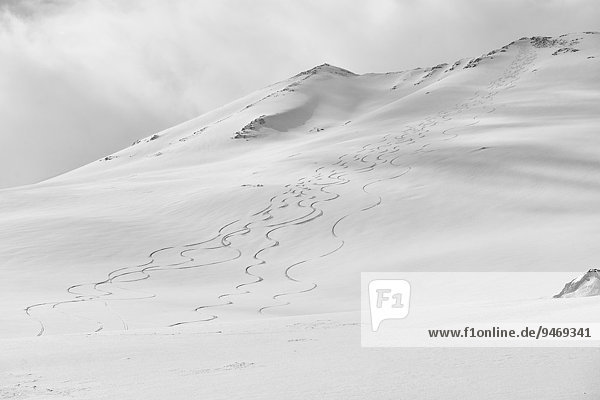 Skispuren im Schnee am Kavriktinden  Lyngsalpene  Lyngenalpen  Troms  Norwegen  Europa