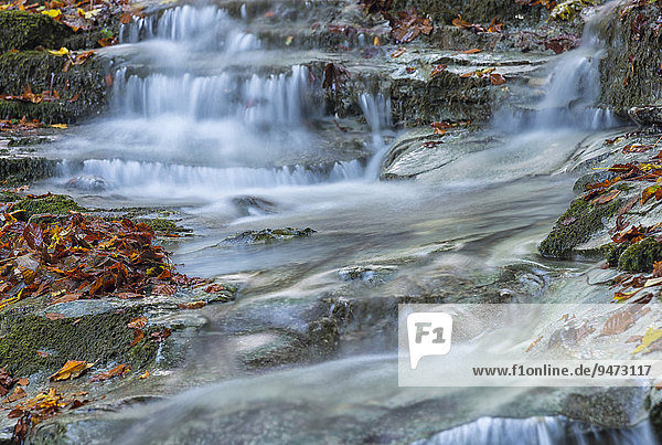 Wasserfall im Herbstwald  Regionalpark Monte Cucco  Umbrien  Italien  Europa