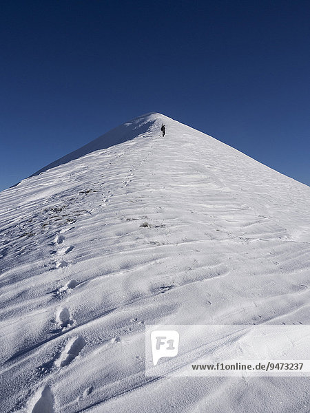 Alpinist climbing Mount Motette  winter day  blue sky  Monte Cucco Regional Park  Umbria  Italy  Europe