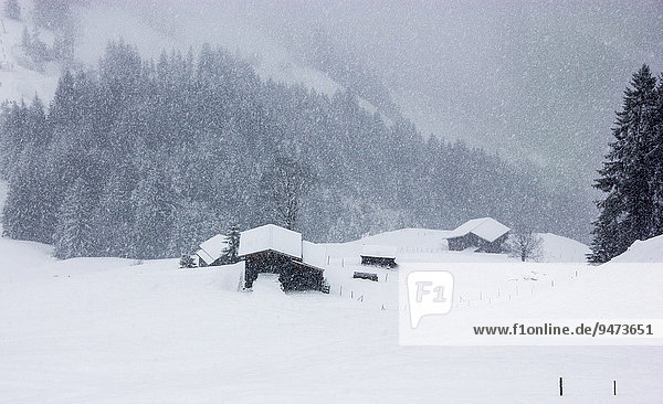Scheune bei starkem Schneefall,  Hochbrixen,  Brixen im Thale,  Tirol,  Österreich,  Europa