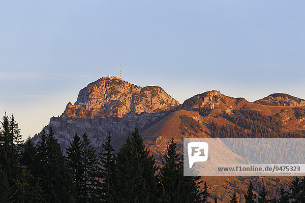 Wendelstein im Morgenlicht  aus Südosten  Mangfallgebirge  Oberbayern  Bayern  Deutschland  Europa