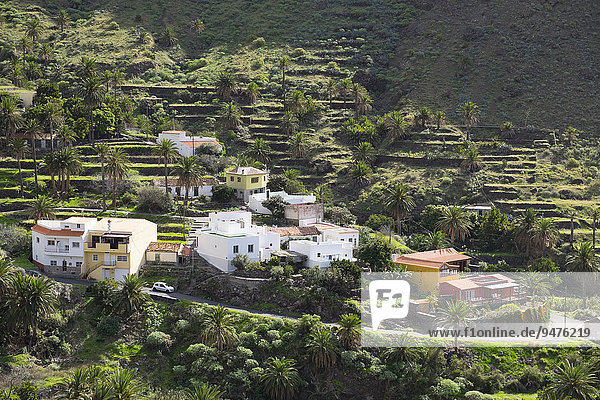 The hamlet Taguluche  Valle Gran Rey  La Gomera  Canary Islands  Spain  Europe