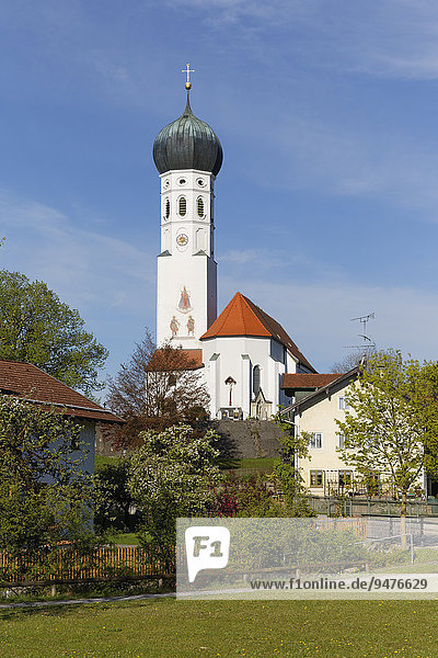 Pfarrkirche Mariä Himmelfahrt  Münsing  Oberbayern  Bayern  Deutschland  Europa