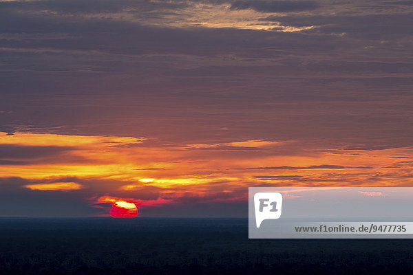Morgenrot über der afrikanischen Savanne  Sonnenaufgang  Ghoha Hills  Chobe-Nationalpark  Botswana  Afrika