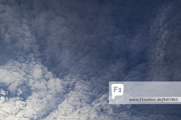 Haufenschichtwolken  Stratocumulus