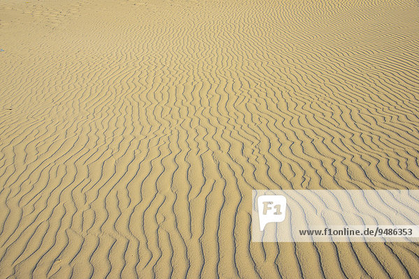 Wellen im Sand  Strand von Amak  Insel Sokotra  Jemen  Asien