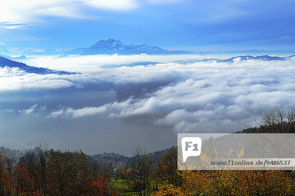 Pilatus über dem Nebelmeer mit Herbstlandschaft und Vierwaldstättersee  Kanton Zug  Schweiz  Europa