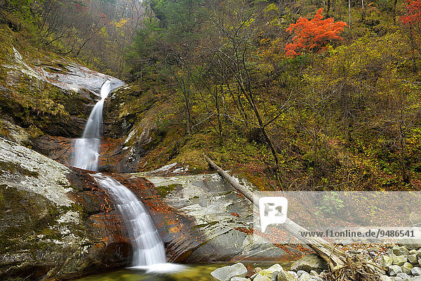 Wilder Fluss In Herbstlandschaft Heihe Nationalpark Qinling Gebirge Provinz Shaanxi China Asien