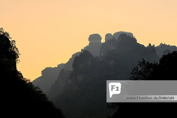 Sandsteinfelsen im Zhangjiajie National Forest Park  Provinz Hunan  China  Asien