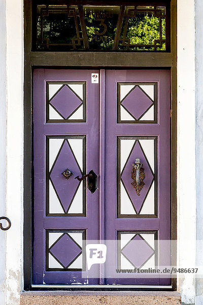 Front door  wooden door  Toompea  Tallinn  Estonia  Europe