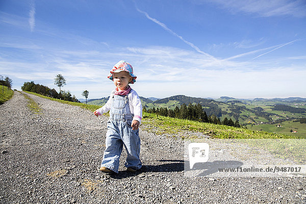 Kleinkind  1 5 Jahre  bei einer Sommerwanderung in den Schweizer Bergen im Alpstein  Appenzell  Schweiz  Europa