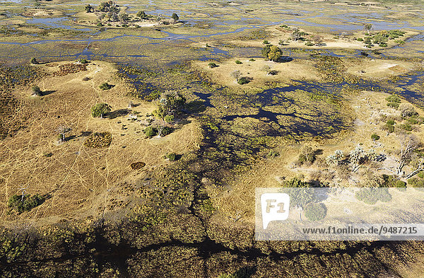 Luftbild  typische Landschaft der Frischwassersümpfe mit Bächen  Kanälen und Inseln  Okavango Delta  Botswana  Afrika