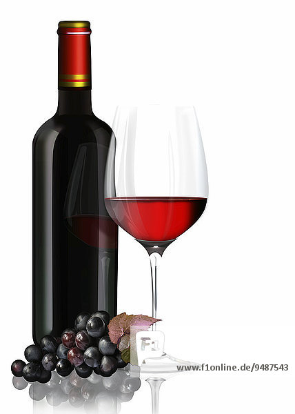 Rotweinglas  Rotweinflasche  Weintrauben  Illustration